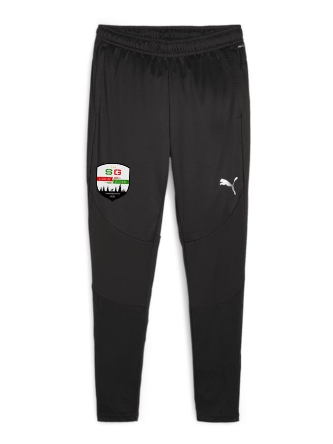 PUMA teamFINAL Trainingshose