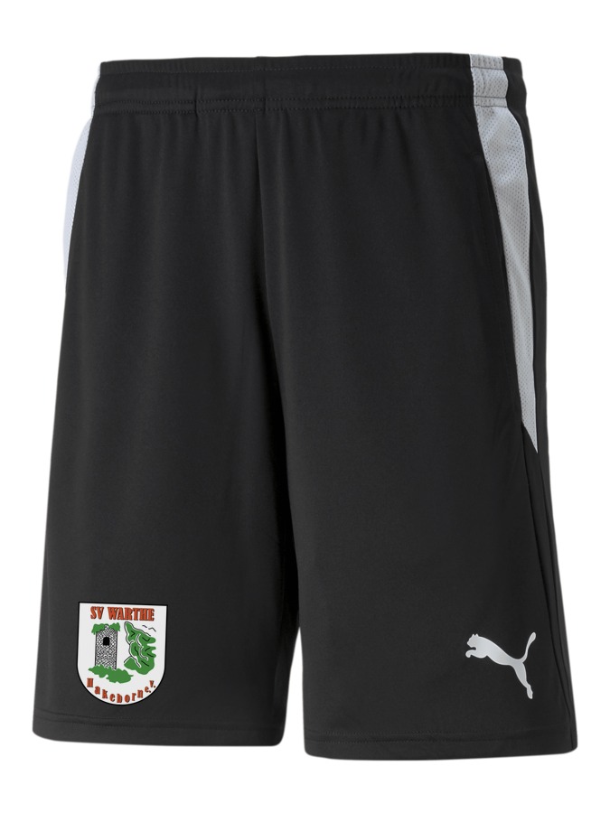 PUMA teamLIGA Referee Shorts