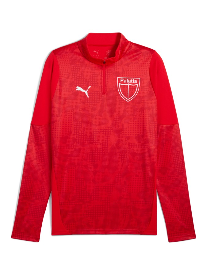 PUMA teamCUP Training 1/4-Zip-Top