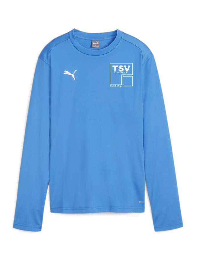 PUMA teamGOAL Training Sweatshirt Damen
