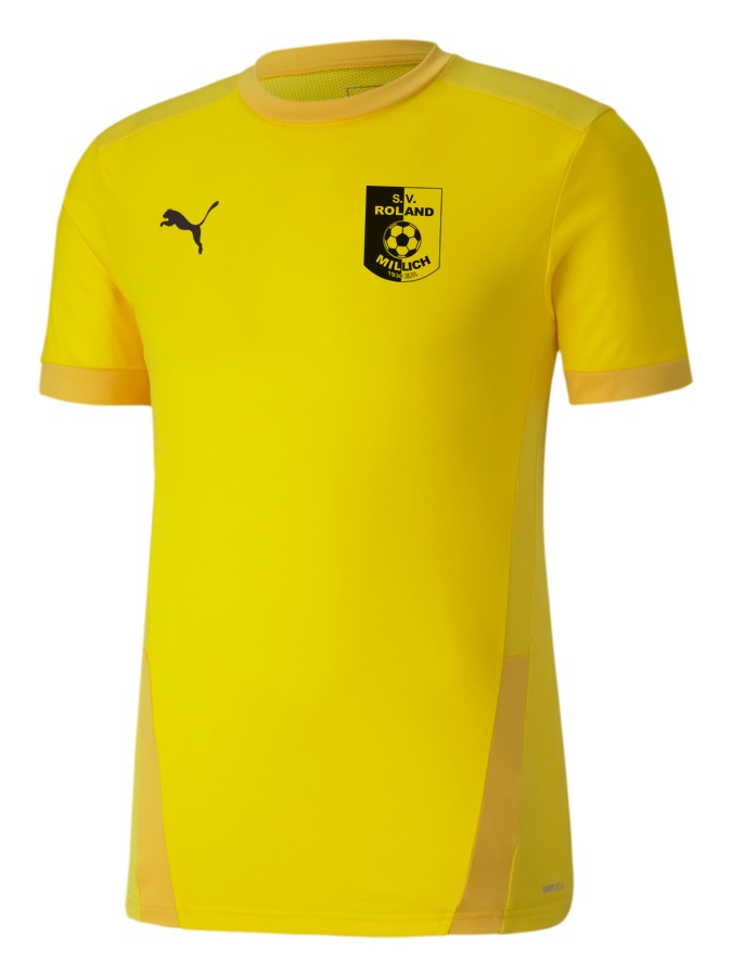 PUMA teamGOAL 23 Trikot