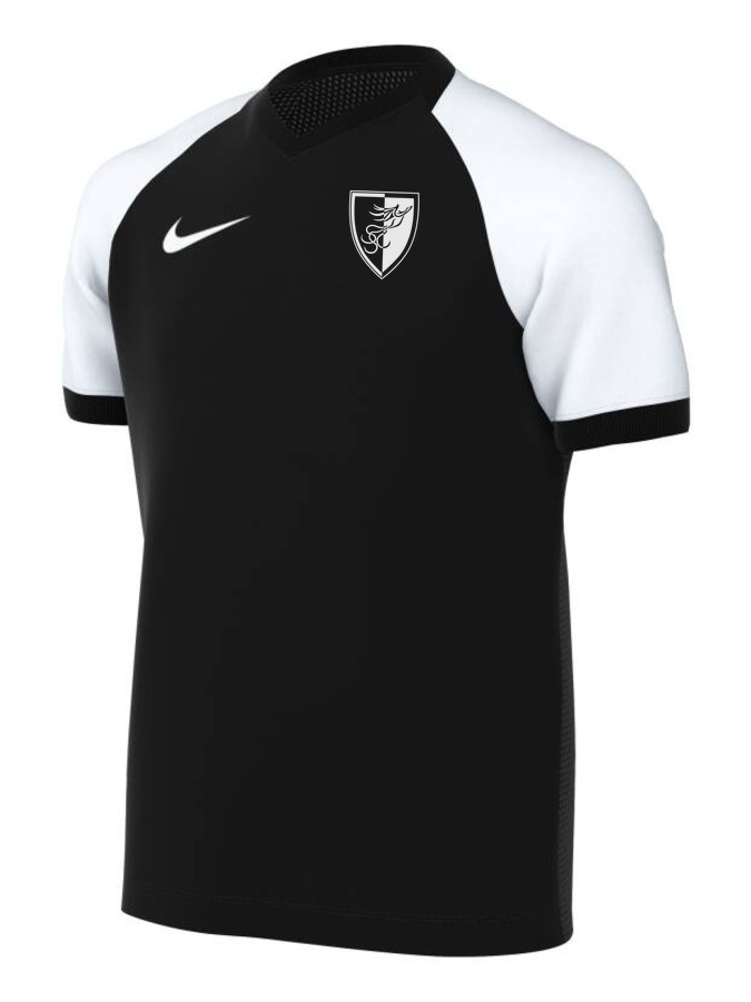 Nike Trophy VI Trikot Kinder