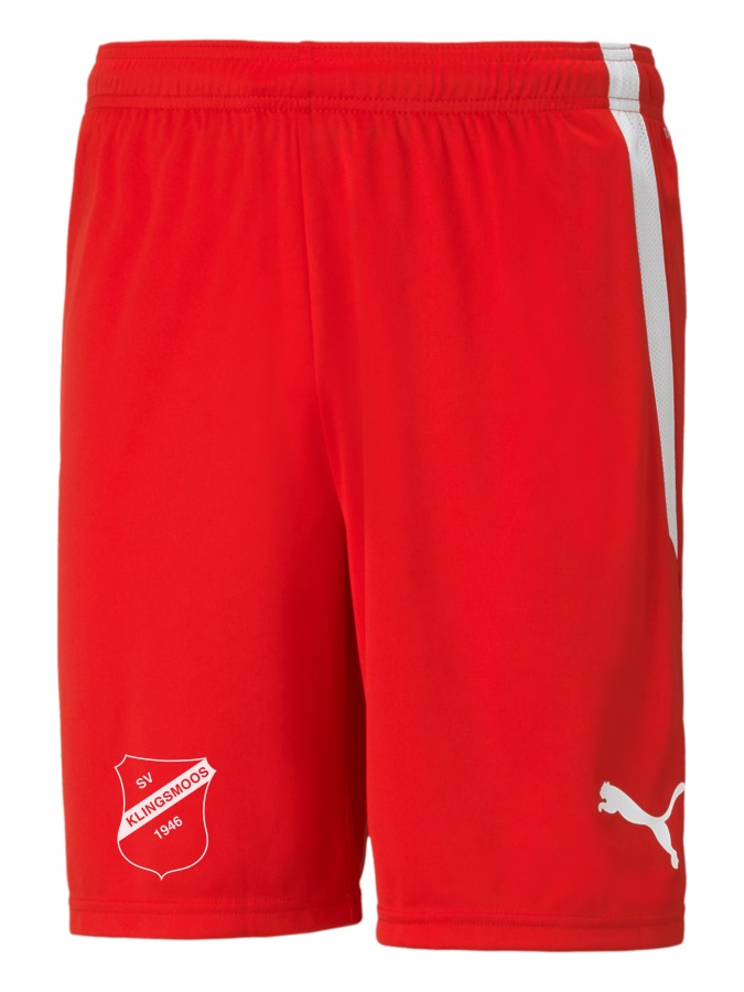 PUMA teamLIGA Shorts