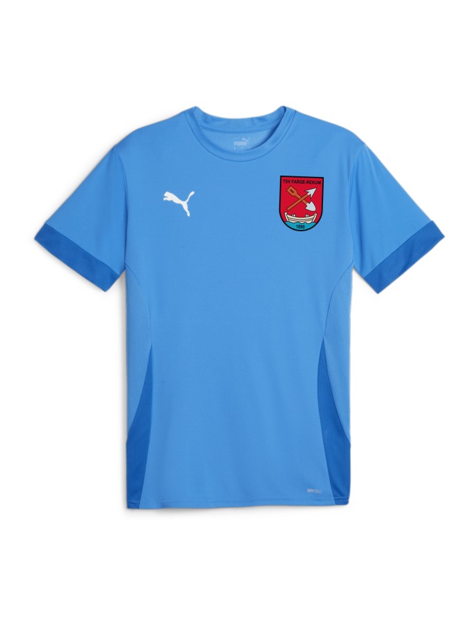 PUMA teamGOAL Matchday Trikot
