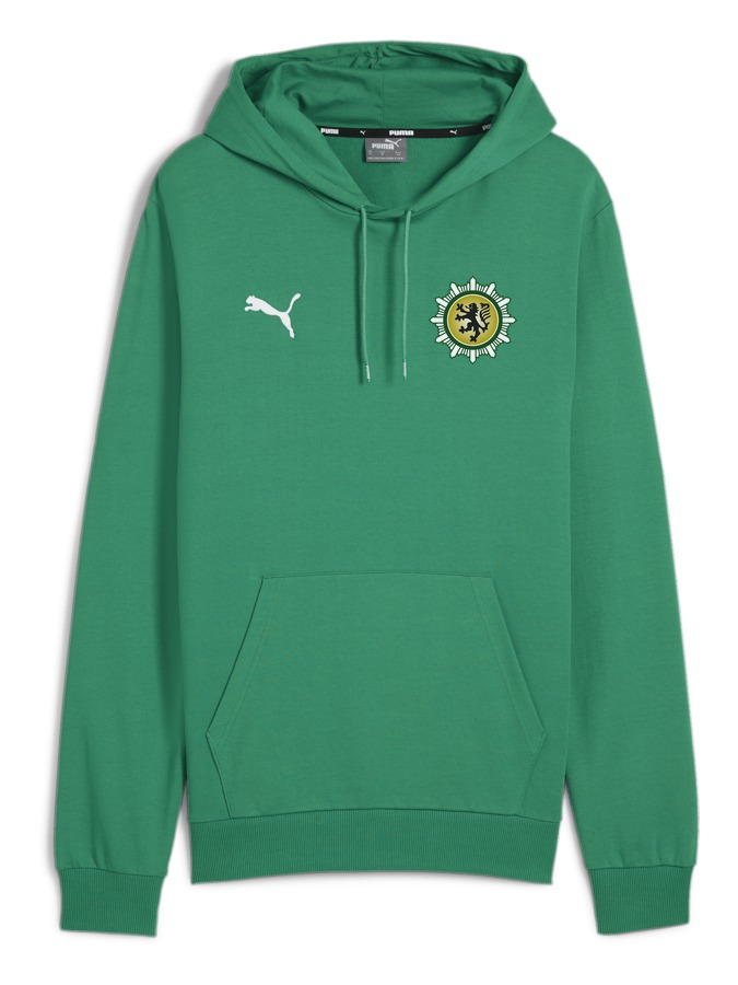 PUMA teamGOAL Casuals Hoody
