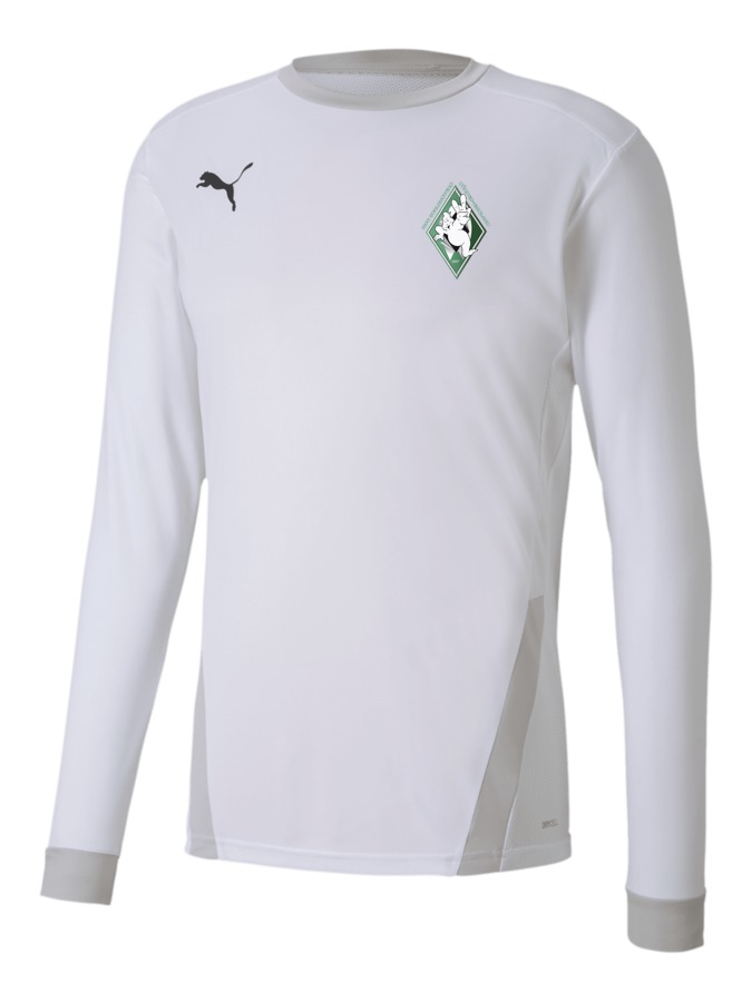 PUMA teamGOAL 23 Longsleeve