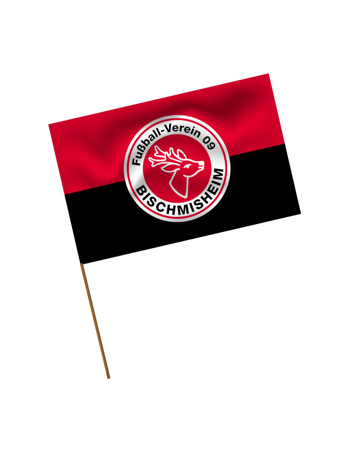 Stadionfahne Logo
