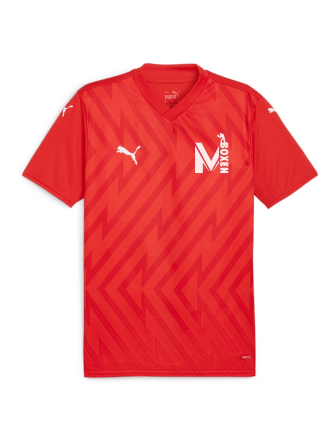 PUMA teamGLORY Trikot