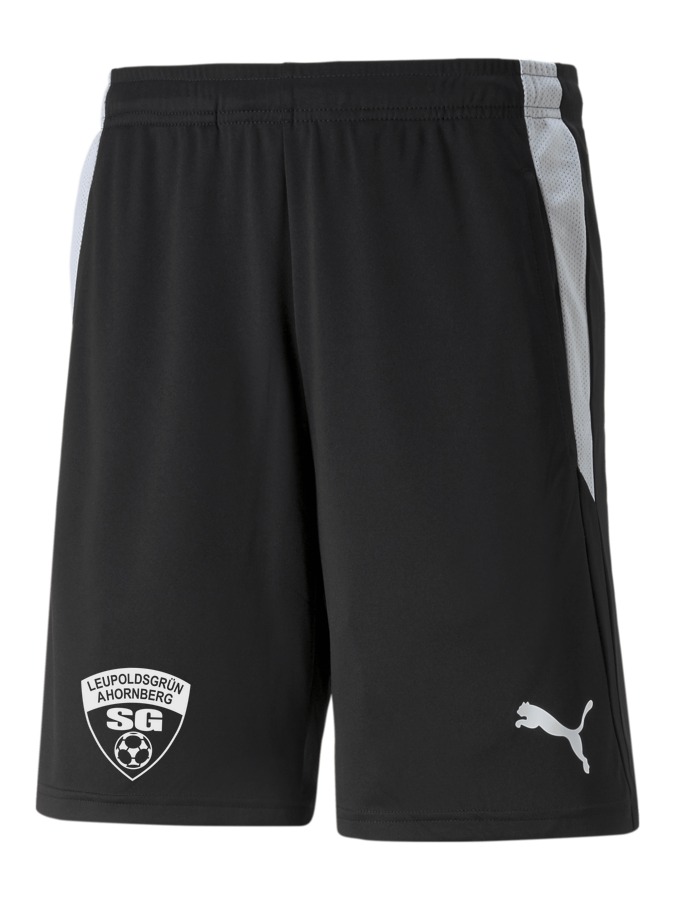 PUMA teamLIGA Referee Shorts