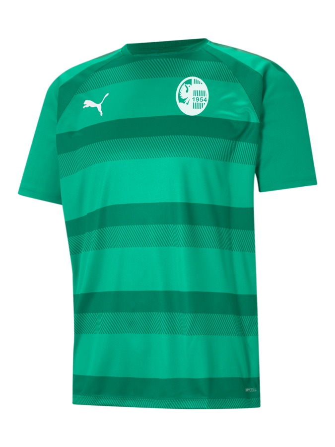 PUMA teamVISION Trikot