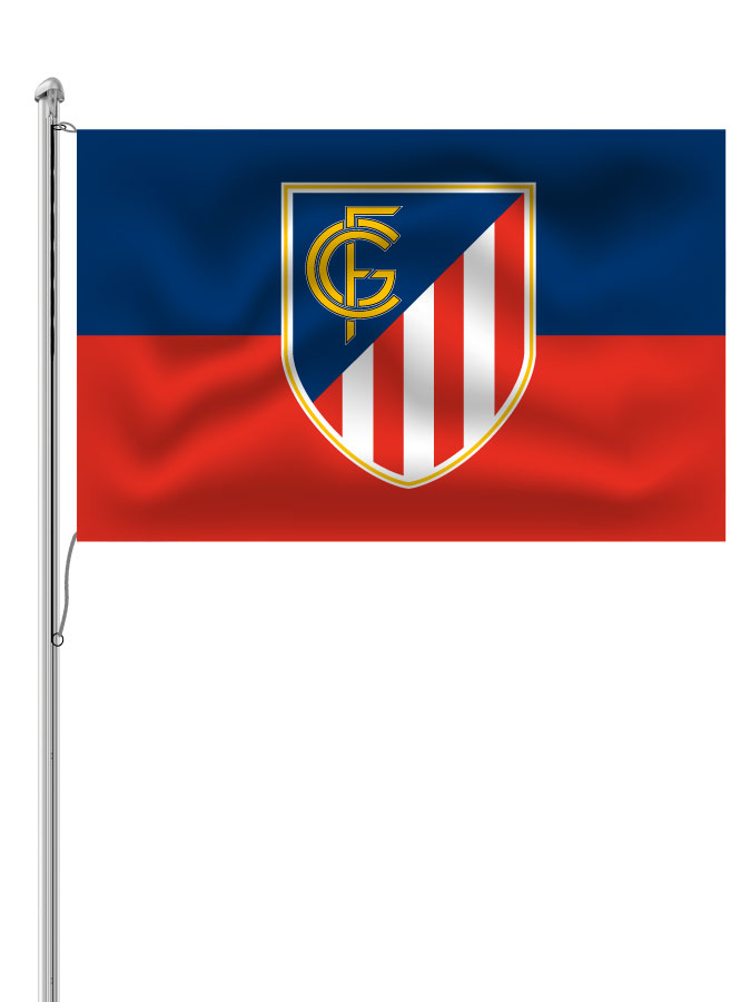Hissfahne Logo