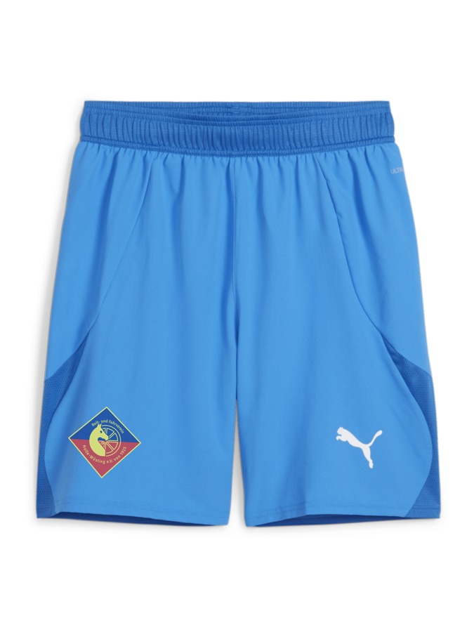 PUMA teamFINAL Shorts
