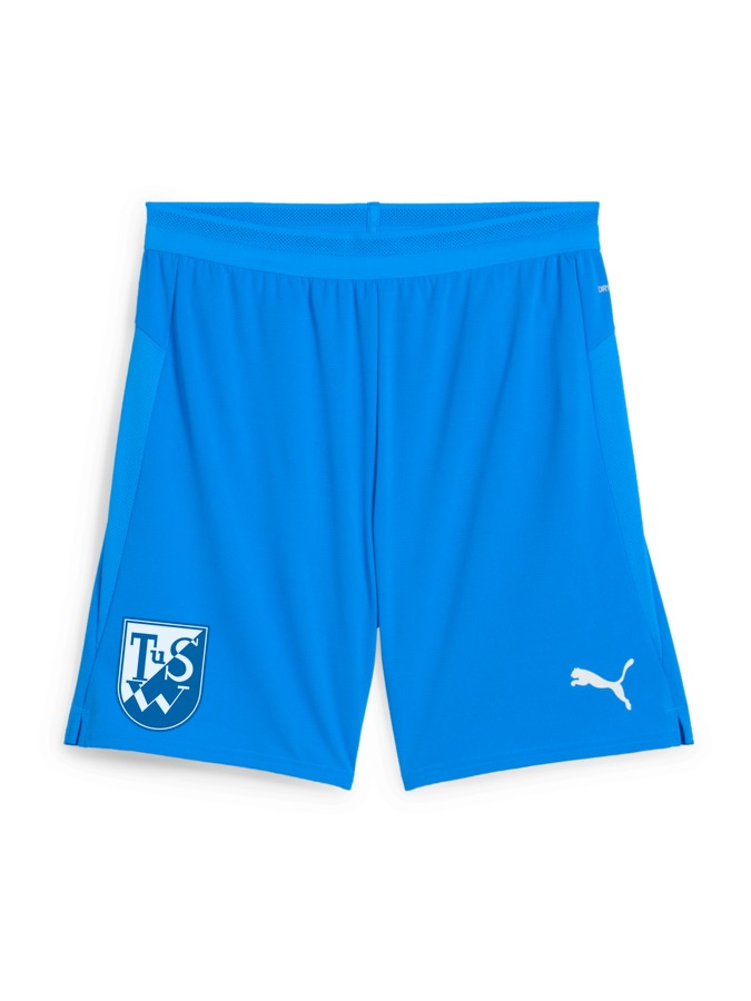 PUMA teamCUP Shorts