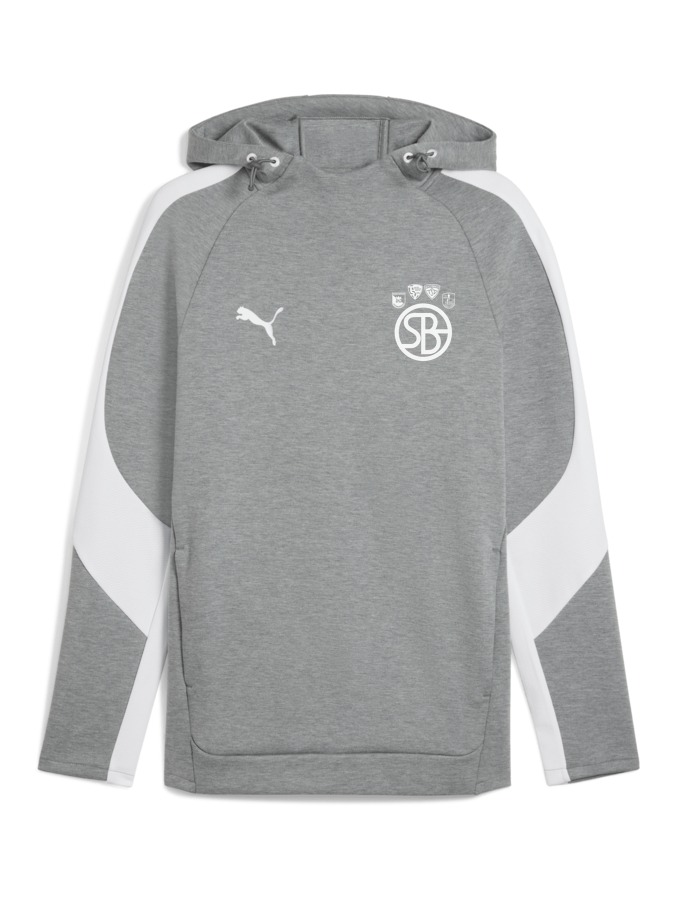 PUMA teamEVOSTRIPE Hoody