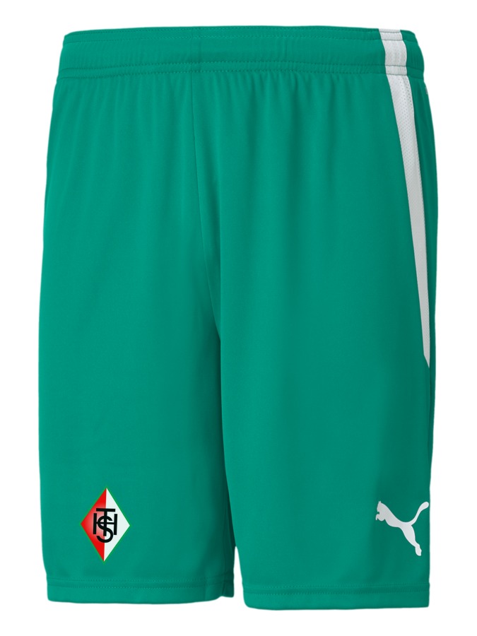 PUMA teamLIGA Shorts