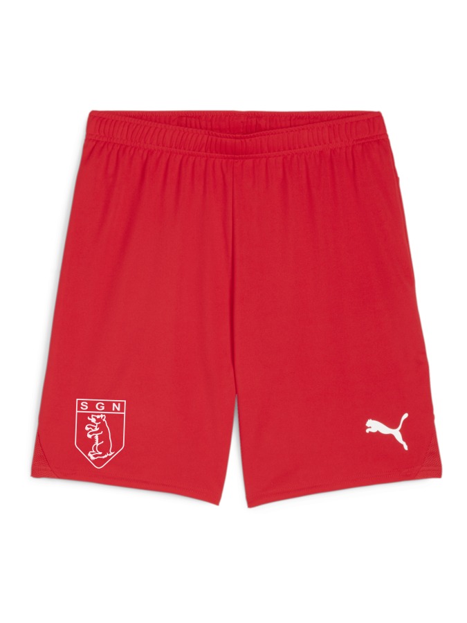 PUMA teamGOAL Shorts