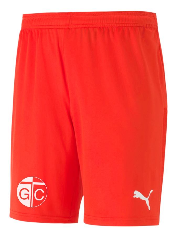 PUMA teamGOAL 23 Knit Shorts