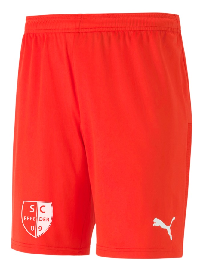PUMA teamGOAL 23 Knit Shorts