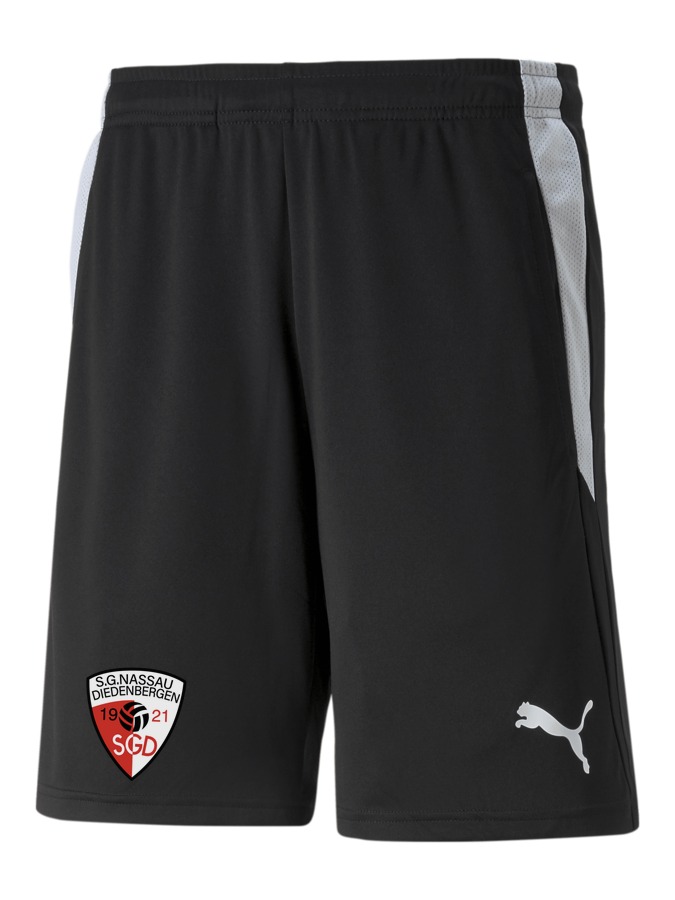 PUMA teamLIGA Referee Shorts