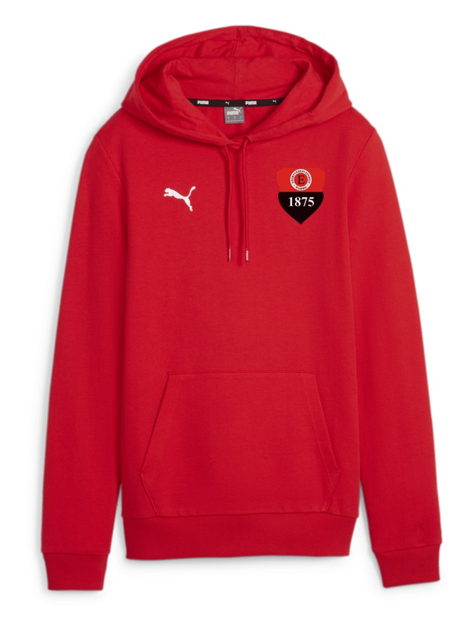 PUMA teamGOAL Casuals Hoody Damen