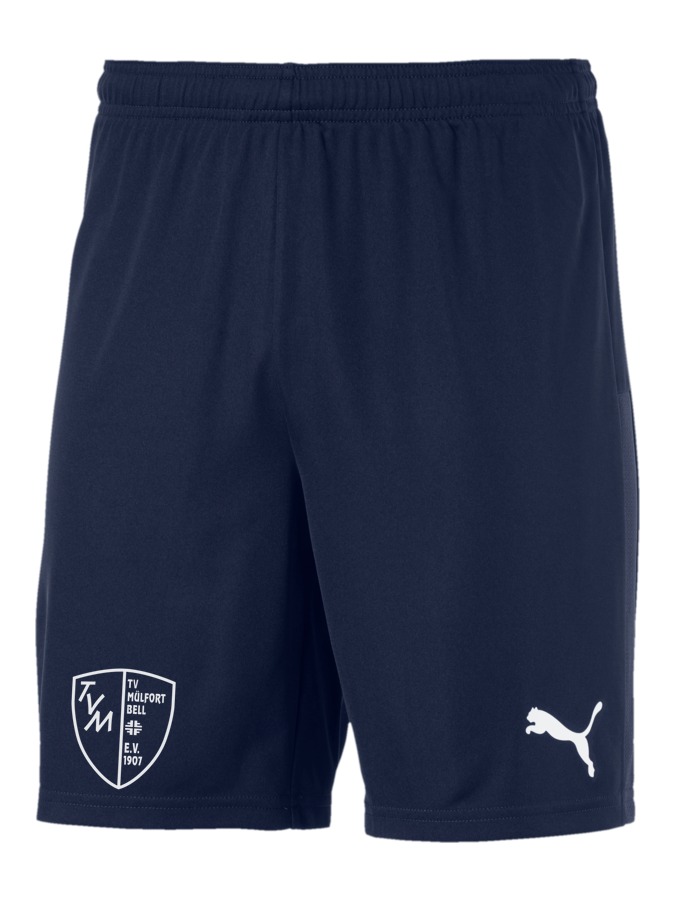 PUMA teamGOAL 23 Knit Shorts