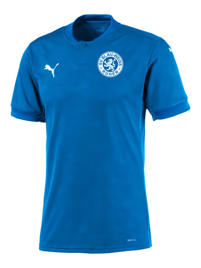 PUMA teamFINAL 21 Trikot