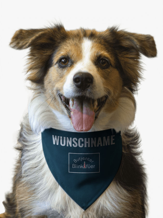 Hundehalstuch