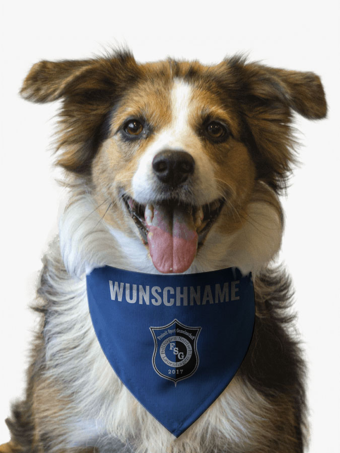 Hundehalstuch