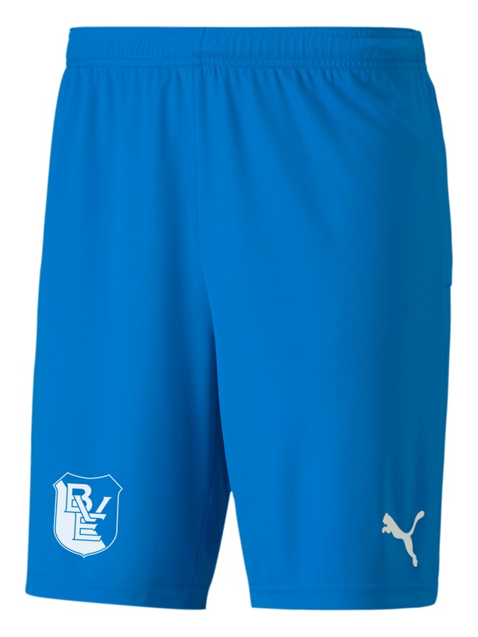 PUMA teamGOAL 23 Knit Shorts