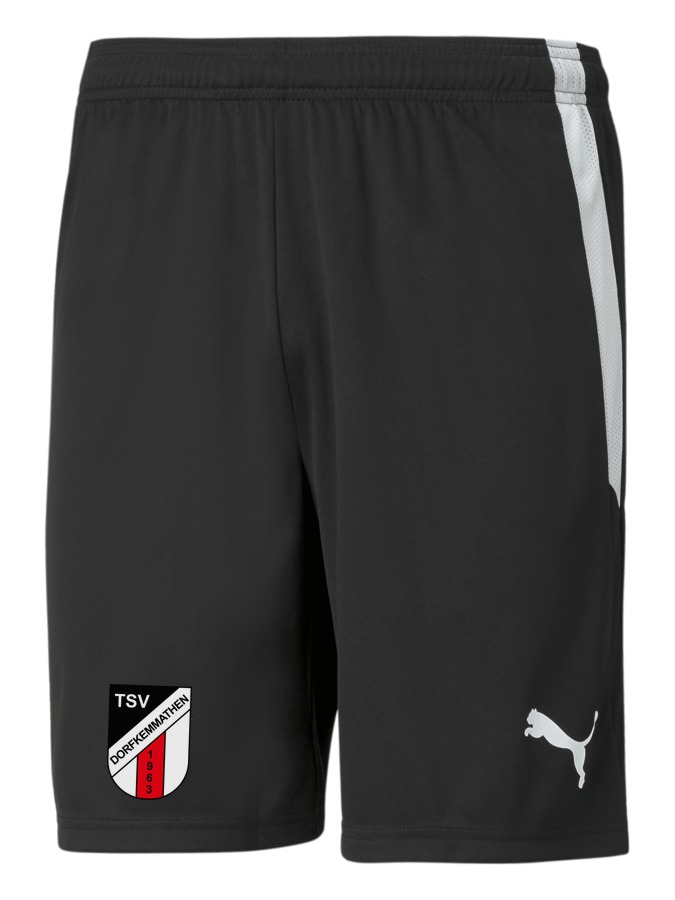 PUMA teamLIGA Shorts