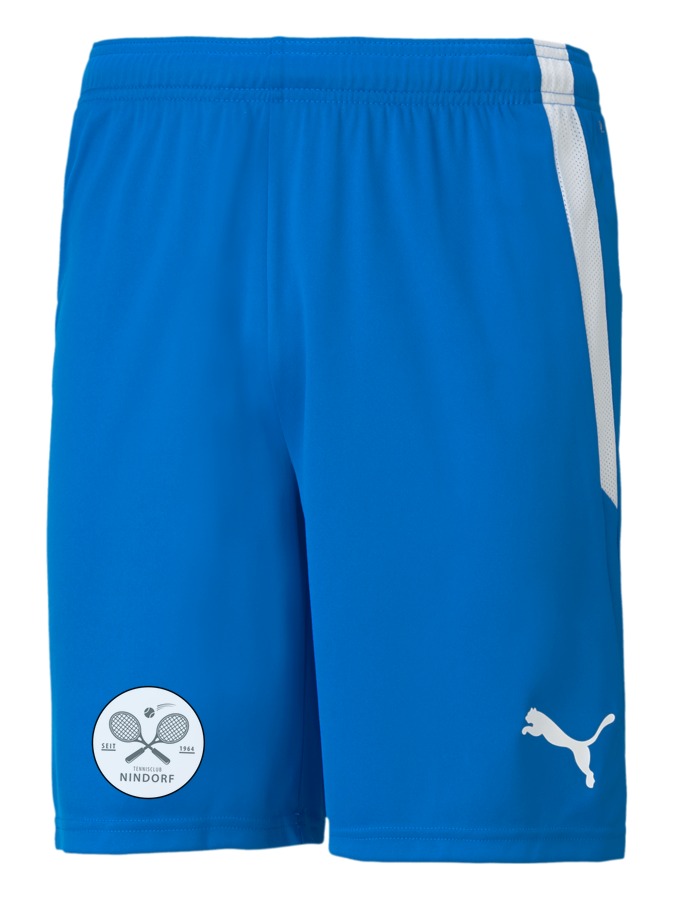 PUMA teamLIGA Shorts