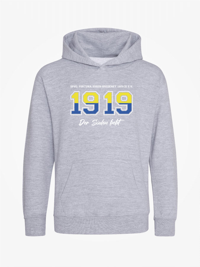 Hoodie Established Kids