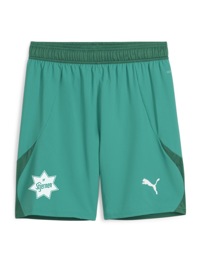 PUMA teamFINAL Shorts