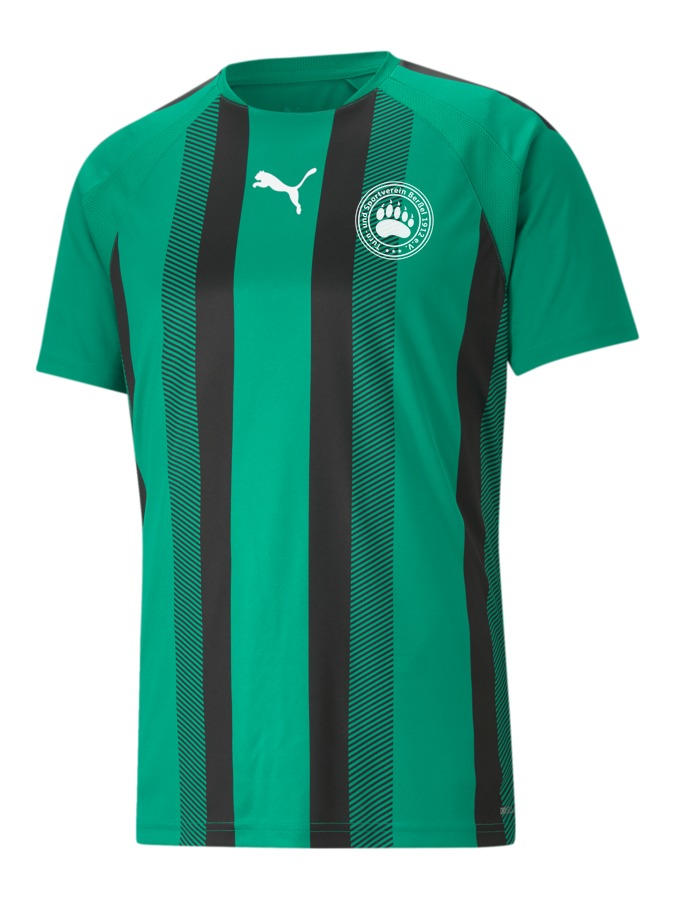 PUMA teamLIGA Striped Trikot