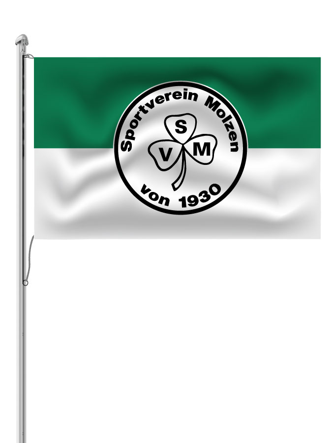 Hissfahne Logo