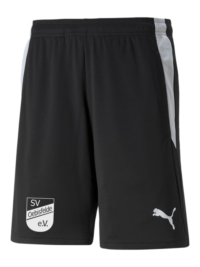PUMA teamLIGA Referee Shorts