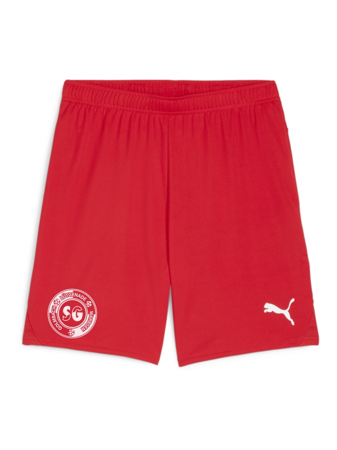 PUMA teamGOAL Shorts