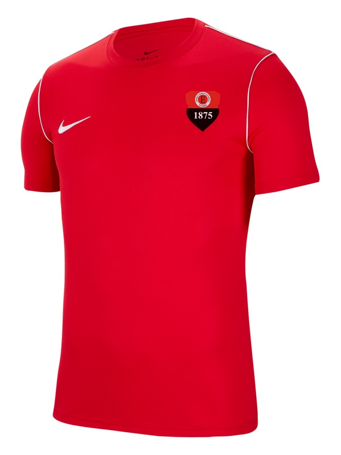 Nike Park 20 Shirt Kinder