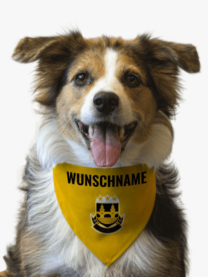 Hundehalstuch