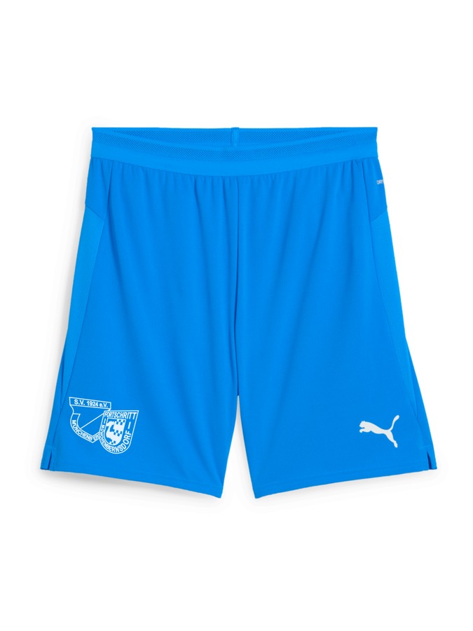 PUMA teamCUP Shorts
