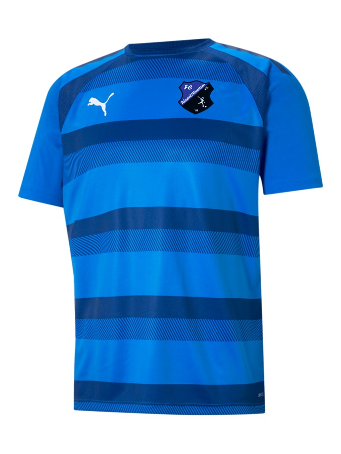 PUMA teamVISION Trikot