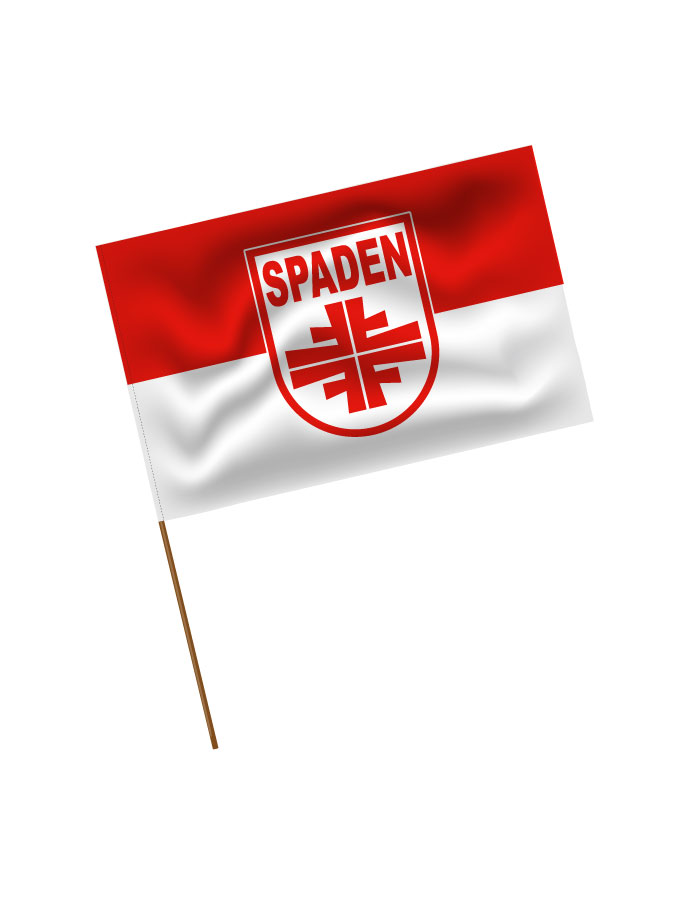 Stadionfahne Logo