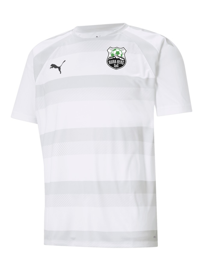 PUMA teamVISION Trikot