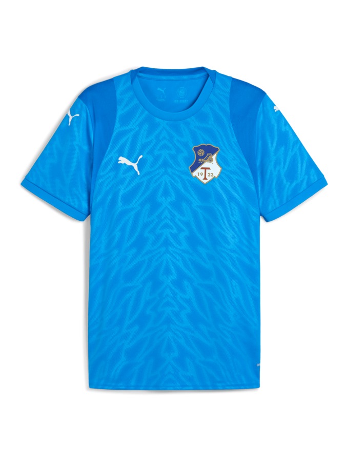PUMA teamCUP Trikot