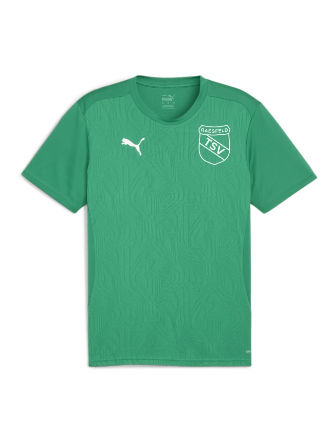 PUMA teamFINAL Trainingsshirt