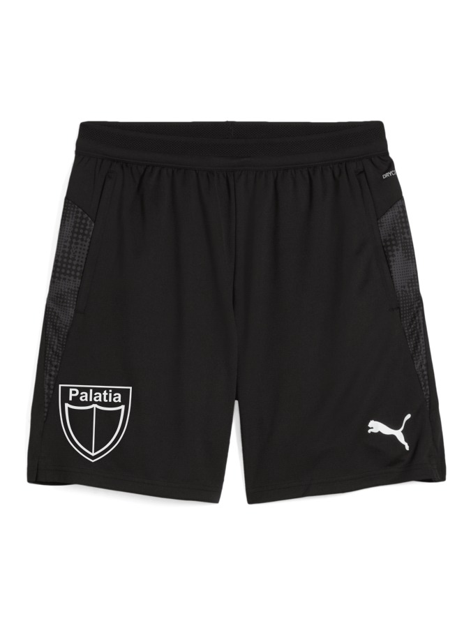 PUMA teamCUP Training Shorts