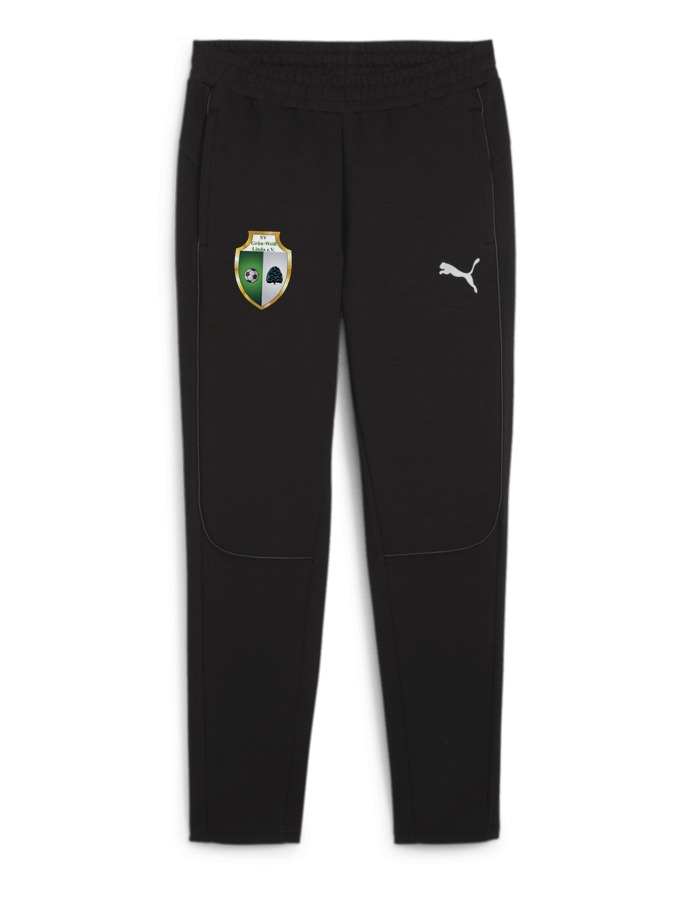 PUMA teamFINAL Casuals Hose