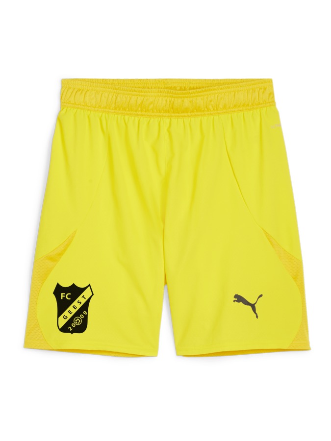 PUMA teamFINAL Shorts