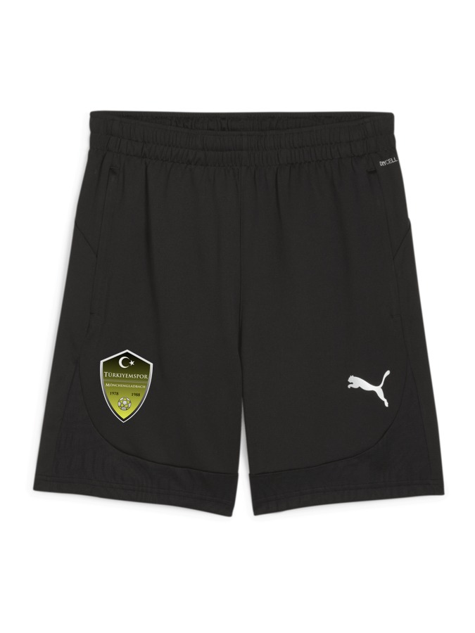 PUMA teamFINAL Training Shorts