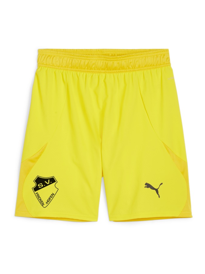 PUMA teamFINAL Shorts